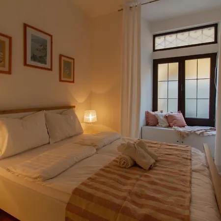 Coli Apatrman Viola Bakar