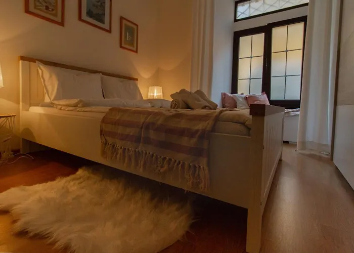 Coli Apatrman Viola *