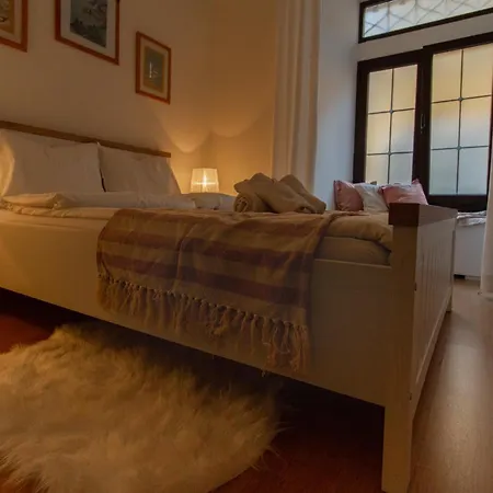 Coli Apatrman Viola *