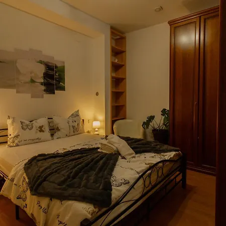 Coli Apatrman Viola باكار