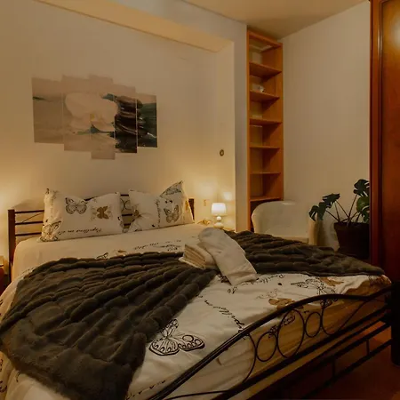 Coli Apatrman Viola باكار