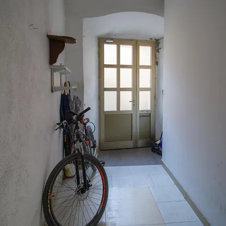 Coli Apatrman Viola * باكار